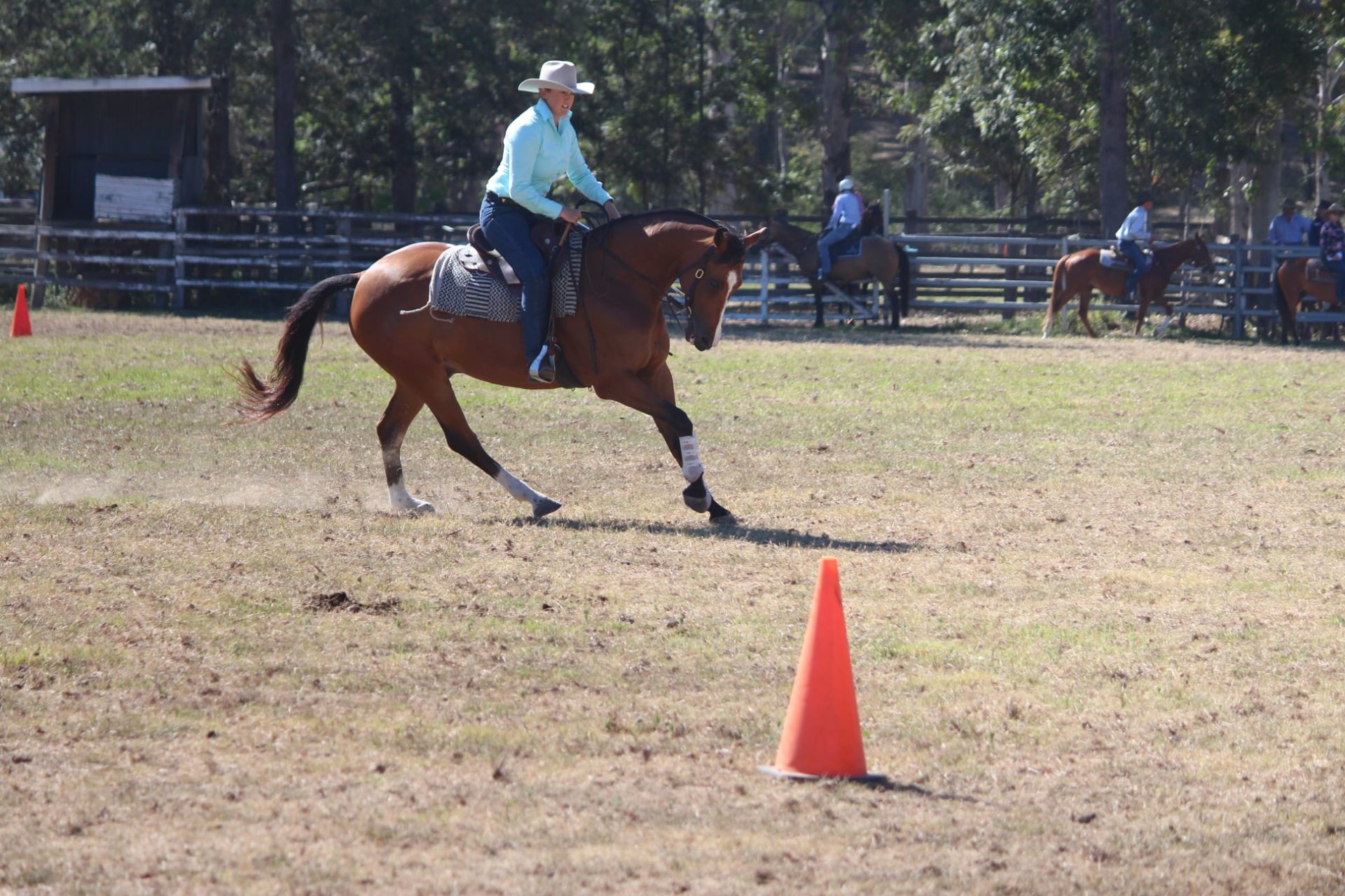 Richmond River Independent, Stockman's Challenge, Hannah