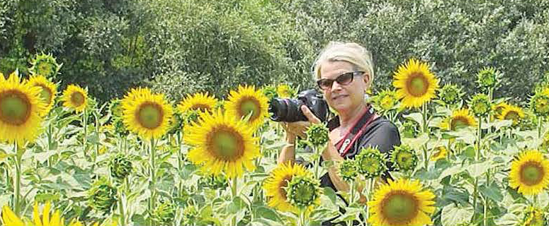 Elaine Poggi, Healing Photo Art