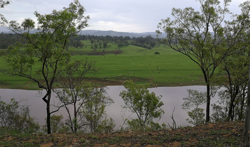 Clarence River in flood