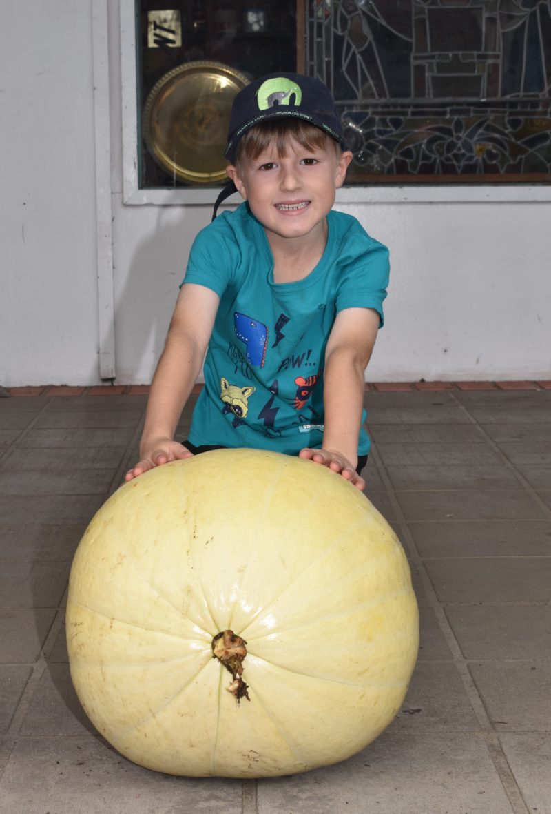 Adam Bryant with his winning junior pumpkin