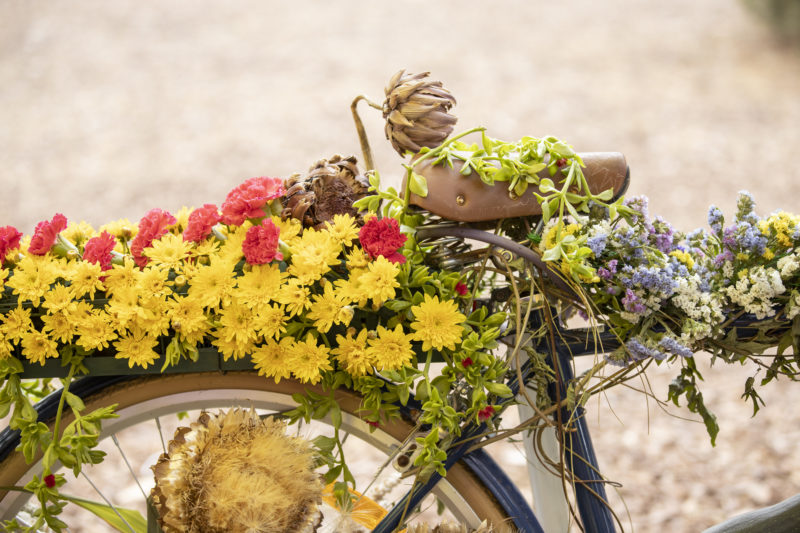 Ballarat Festivals
