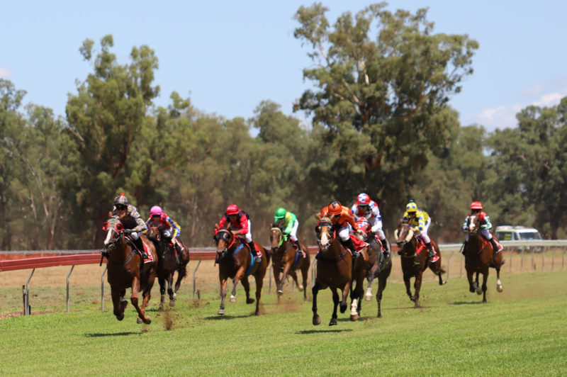 Bedgerabong Picnics 2021