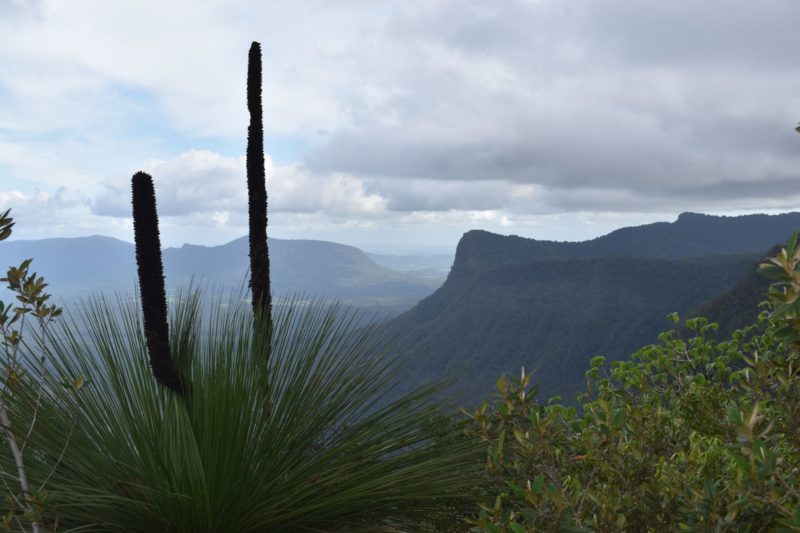Pinnacle Lookout