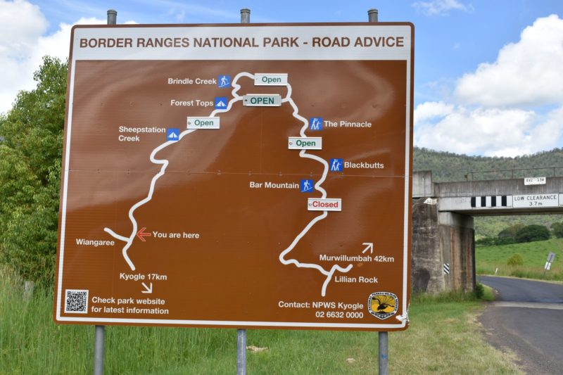 Border Ranges NP road advice