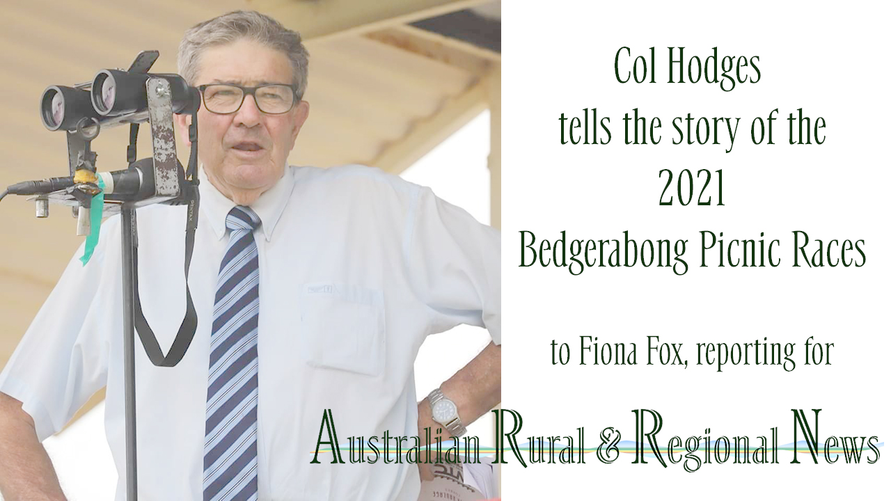 Col Hodges chat placeholder