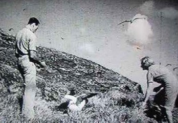 Abbot and Laidley on Roach Island