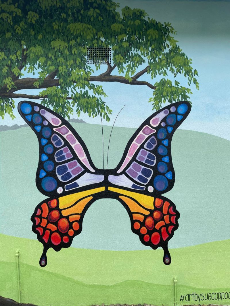 Sue Coppocks Butterfly