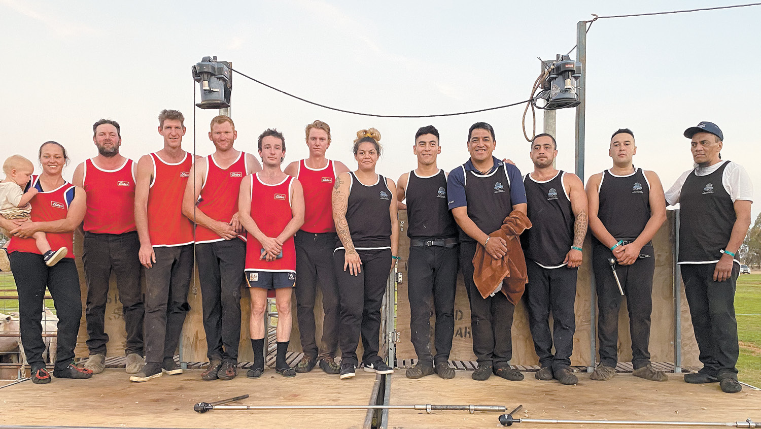 Aussie and Kiwi shearers