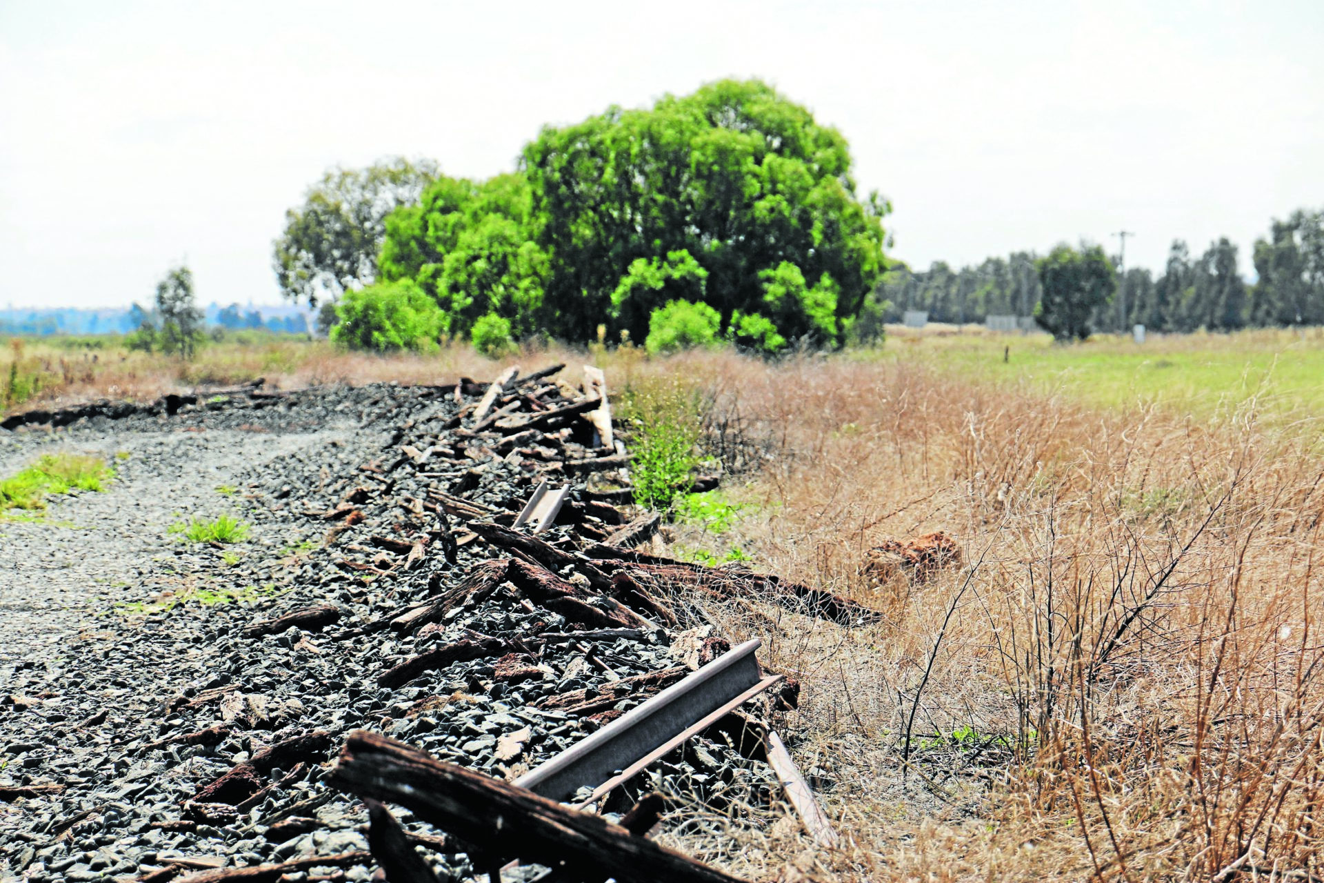 Narrandera to Tocumwal rail line