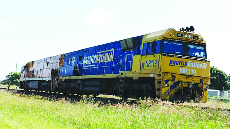 NR119 and NR31
