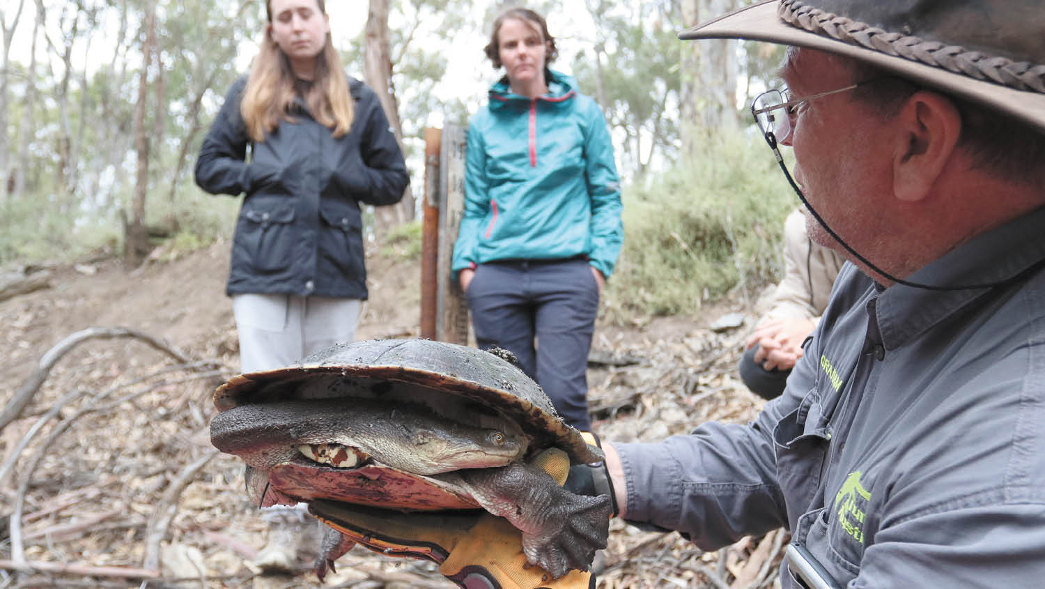 Graham Stockfield with an injured turtle