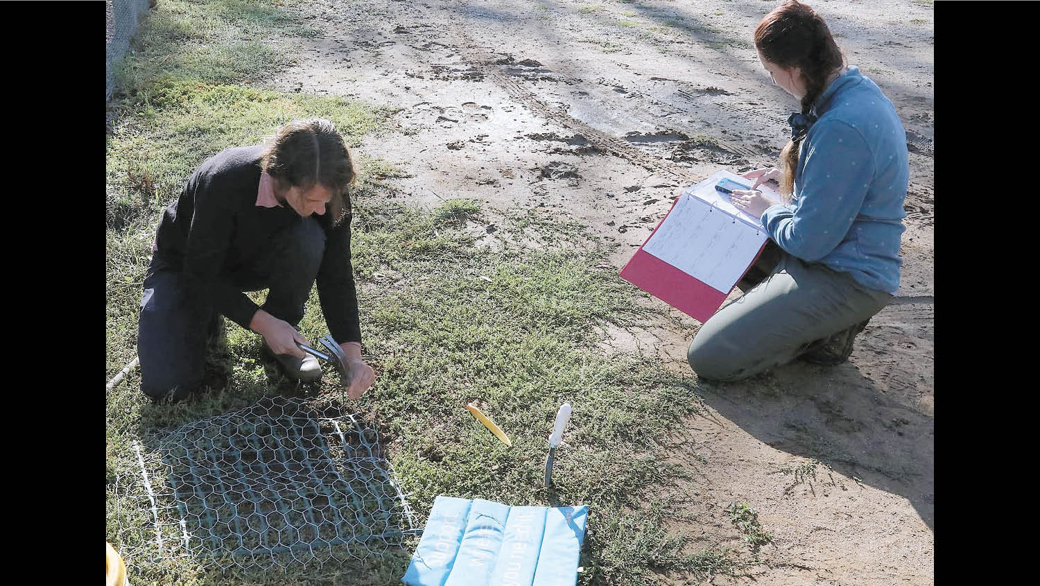 TAFE students assisting Turtle Australia