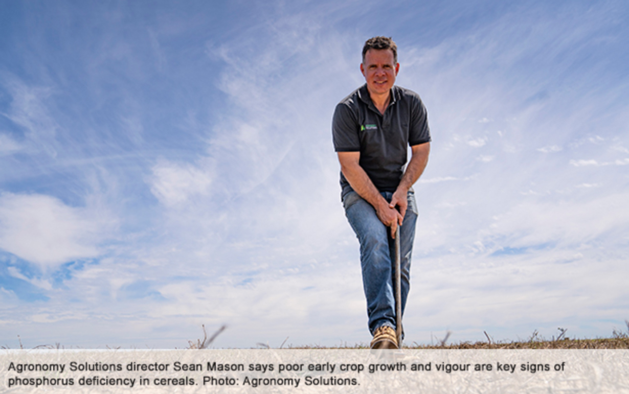 Agronomy Solutions director