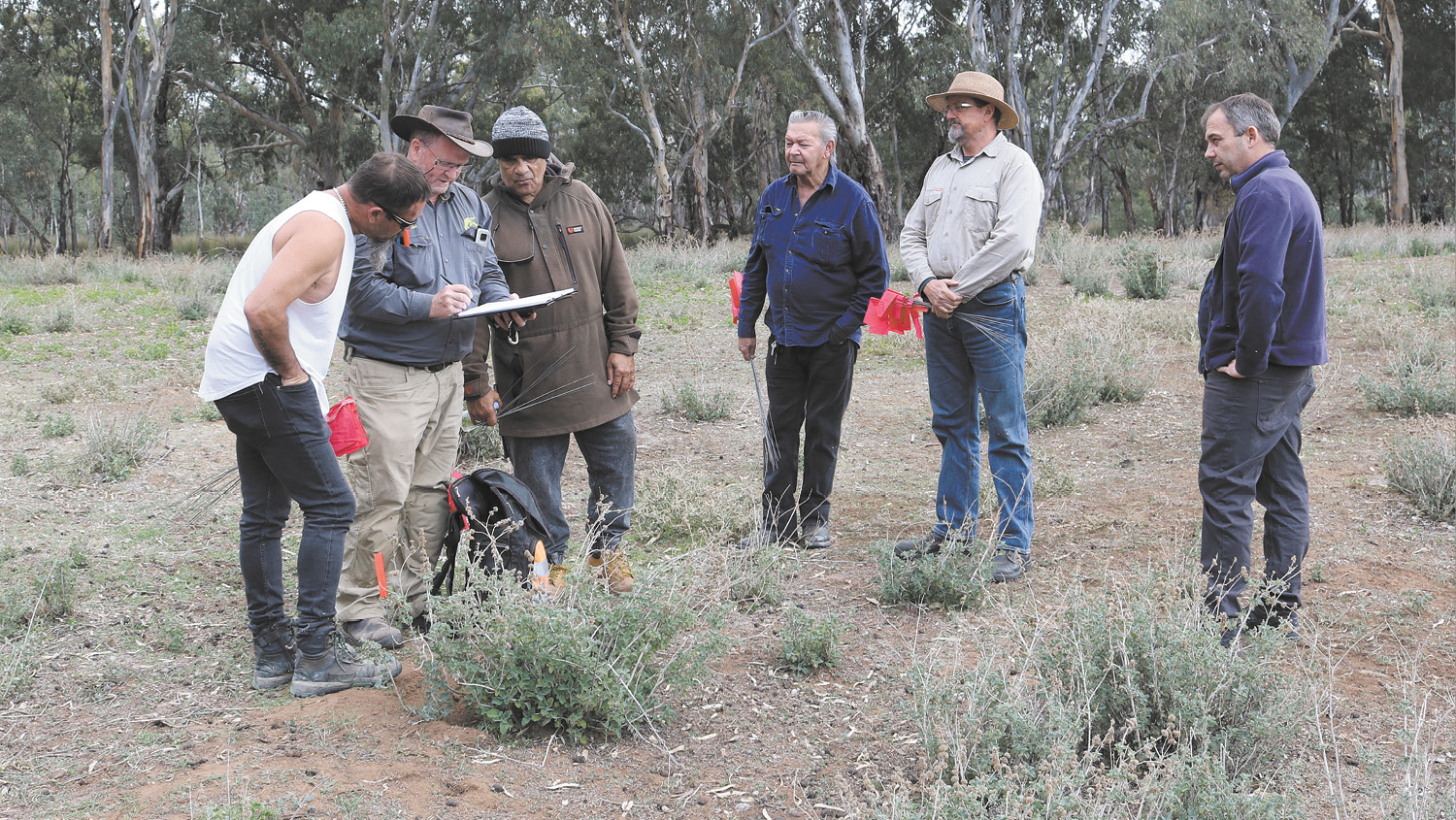 Turtle scouting in Gunbower Forest