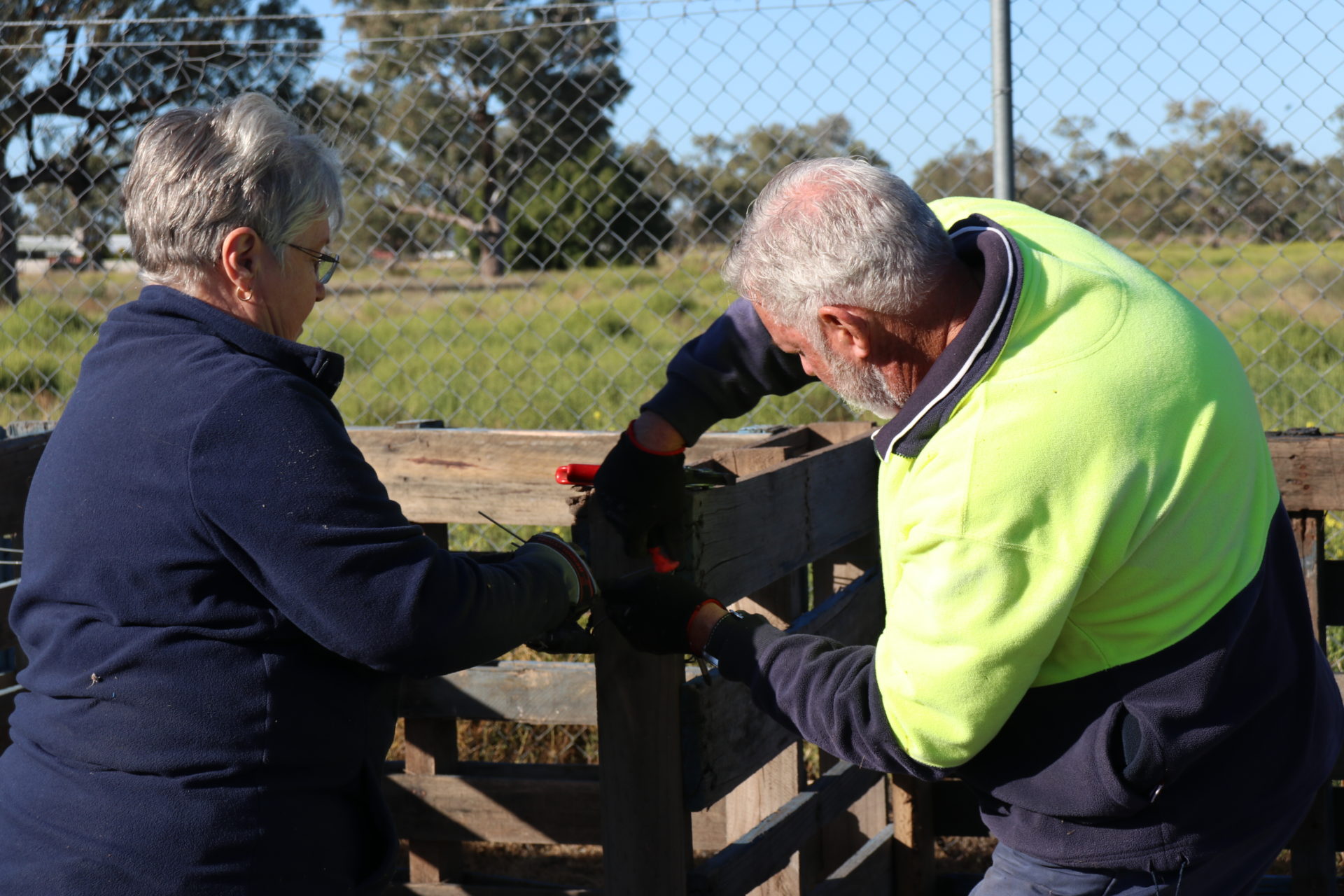 Walgett community gardens
