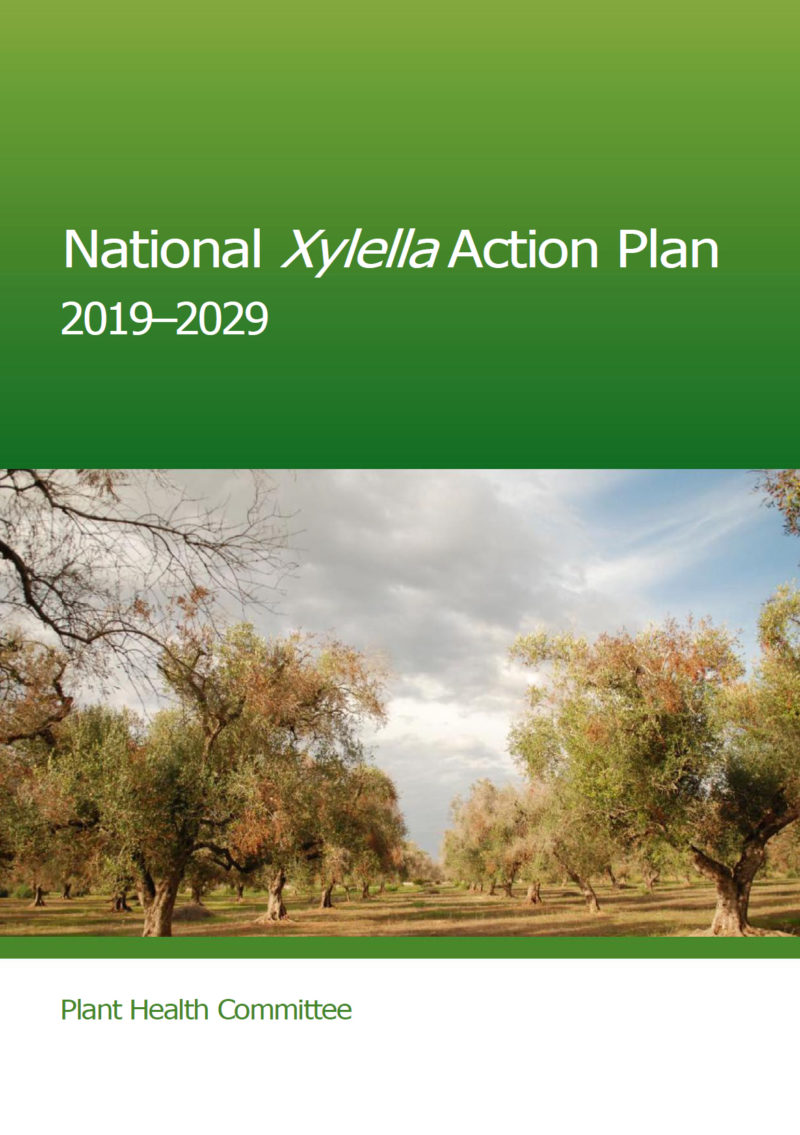 National Xylella Action Plan