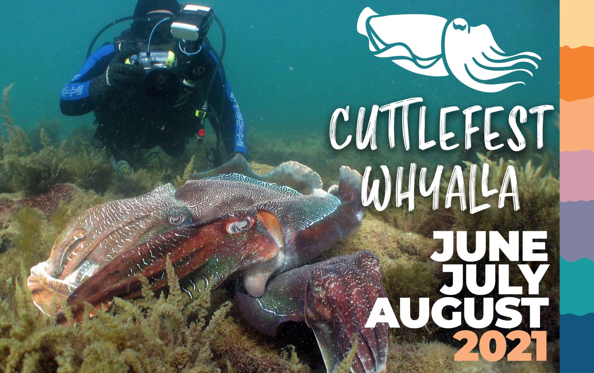 Cuttlefest flyer