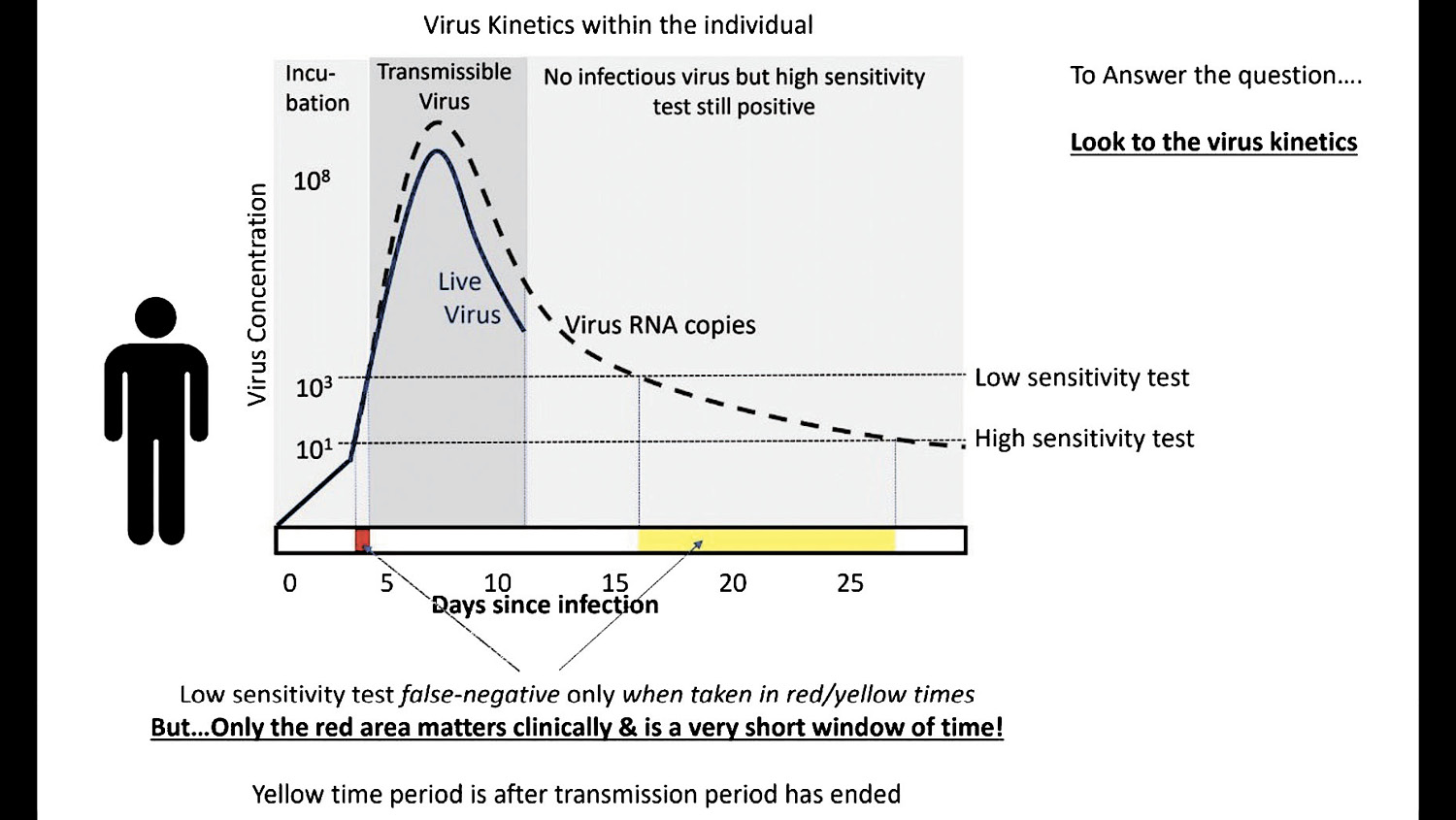 Virus kinetics graph
