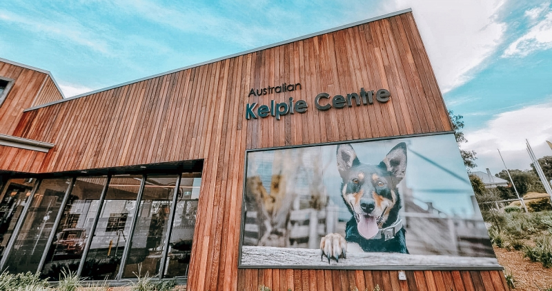 Australian Kelpie Centre at Casterton