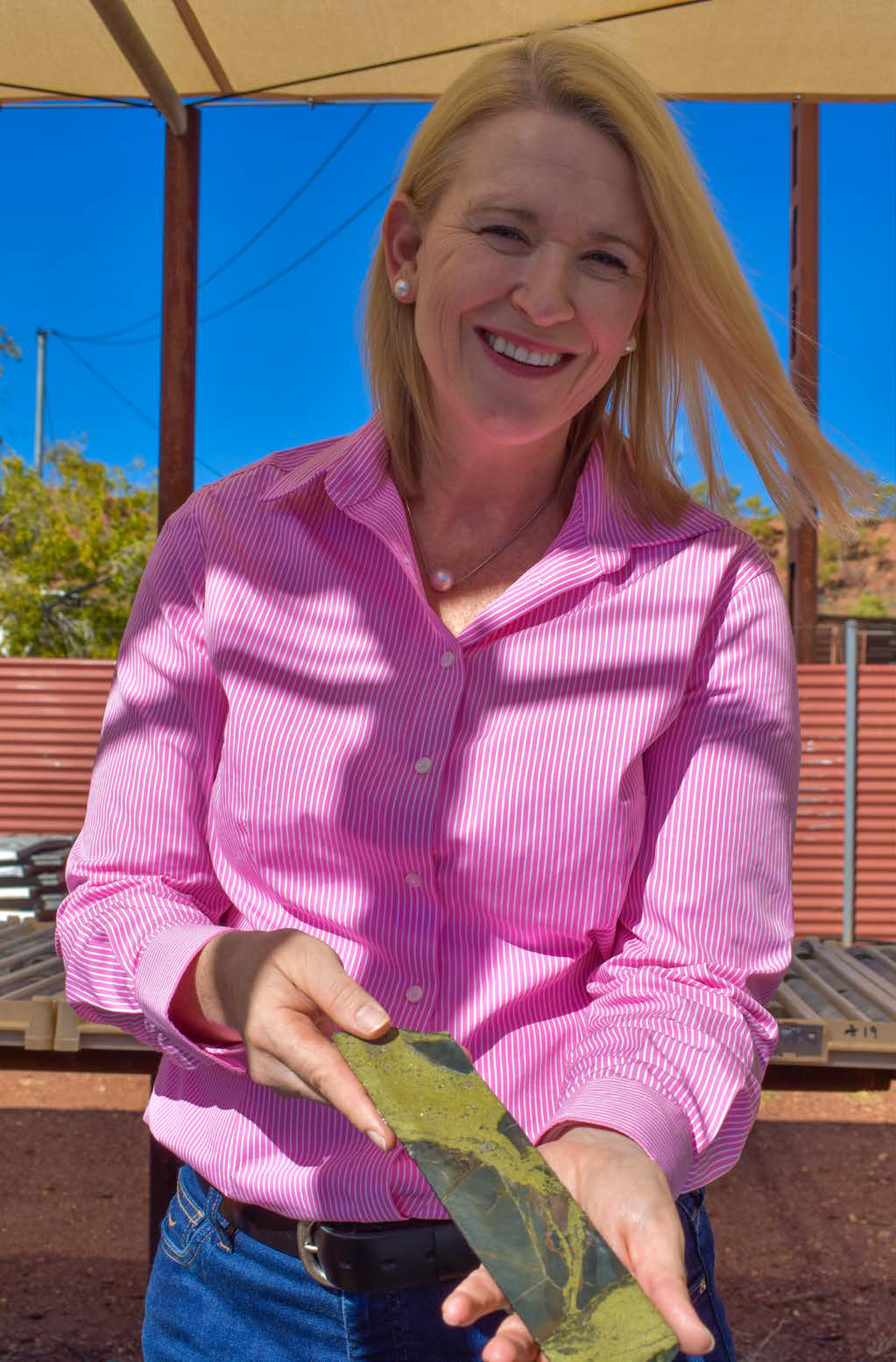 Mining Minister Nicole Manison