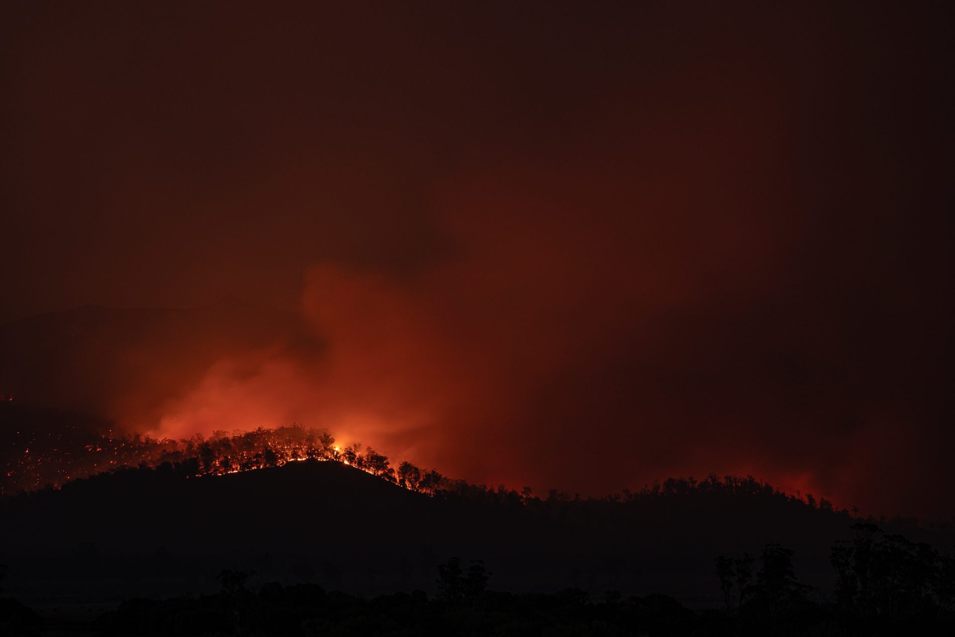 Bushfire