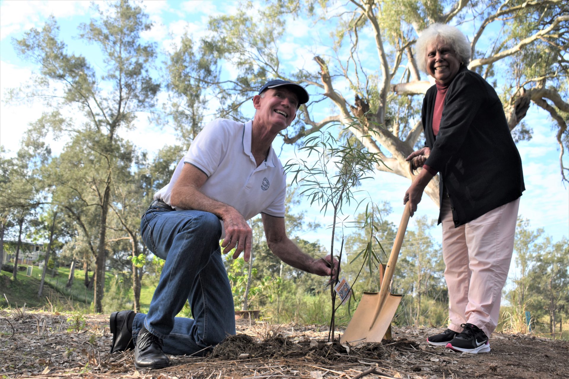 Tree of hope and unity