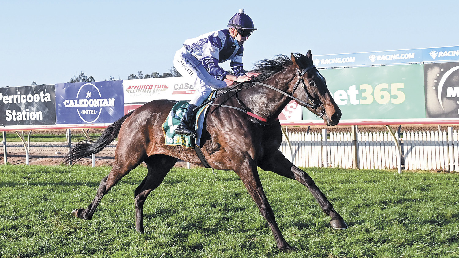 Logan McNeil on Barmah Al