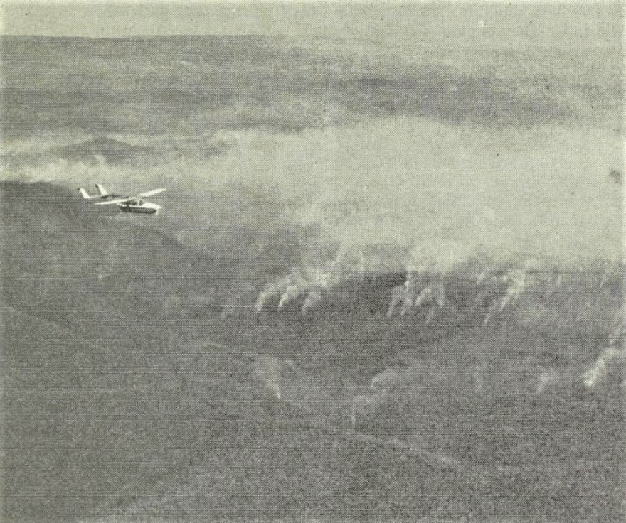 Aerial burning near Bega 1968