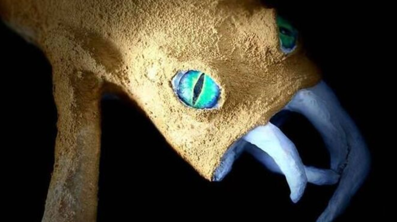 Hidden creatures of the Barossa