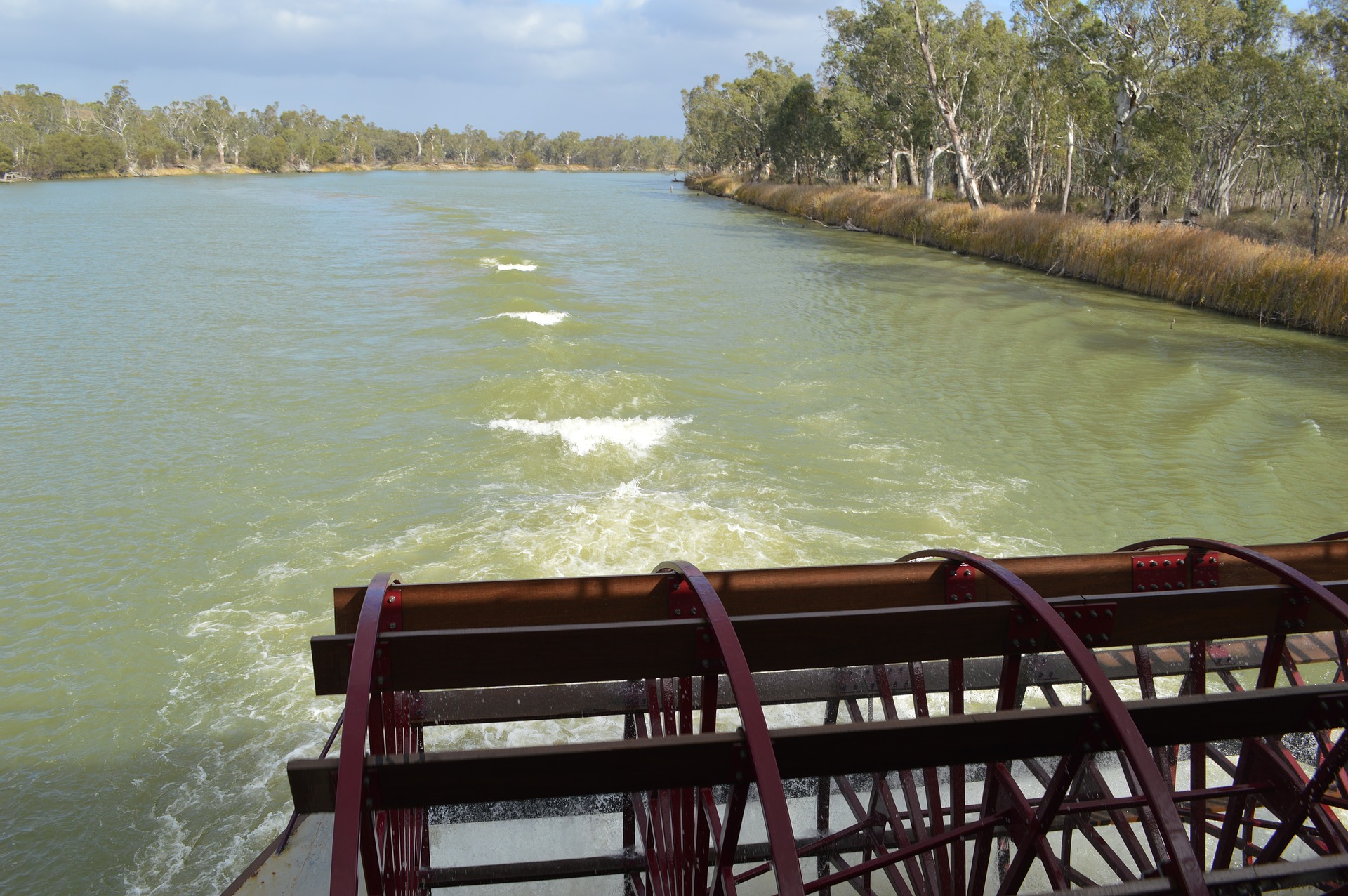 paddle boat on the Murray