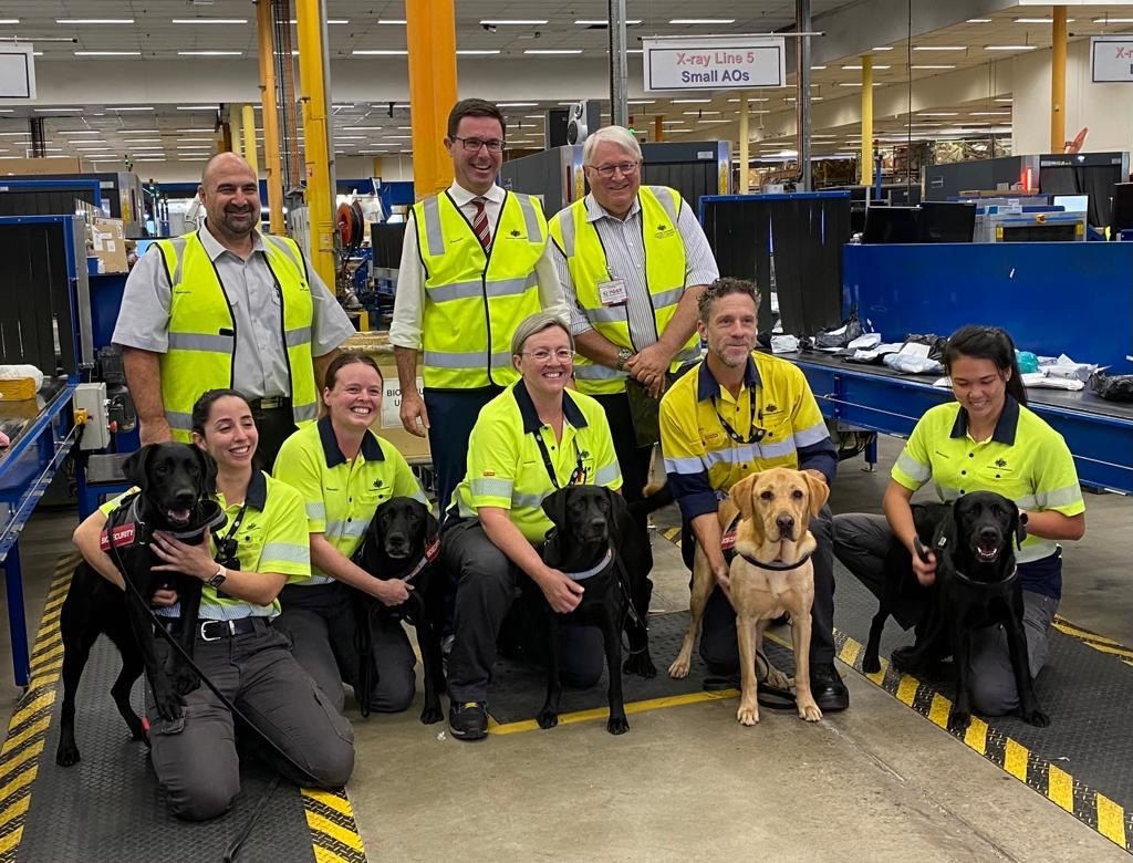 Detector Dogs with n=handlers