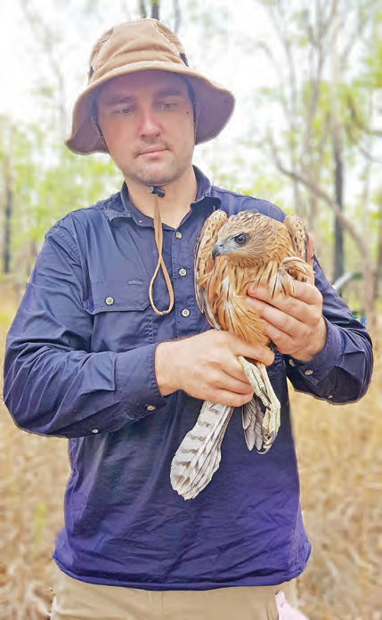 Chris MacColl and red goshawk