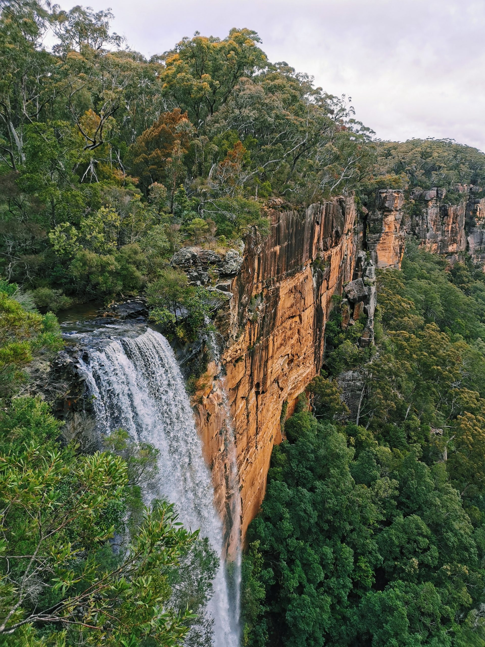 Fitzroy Falls