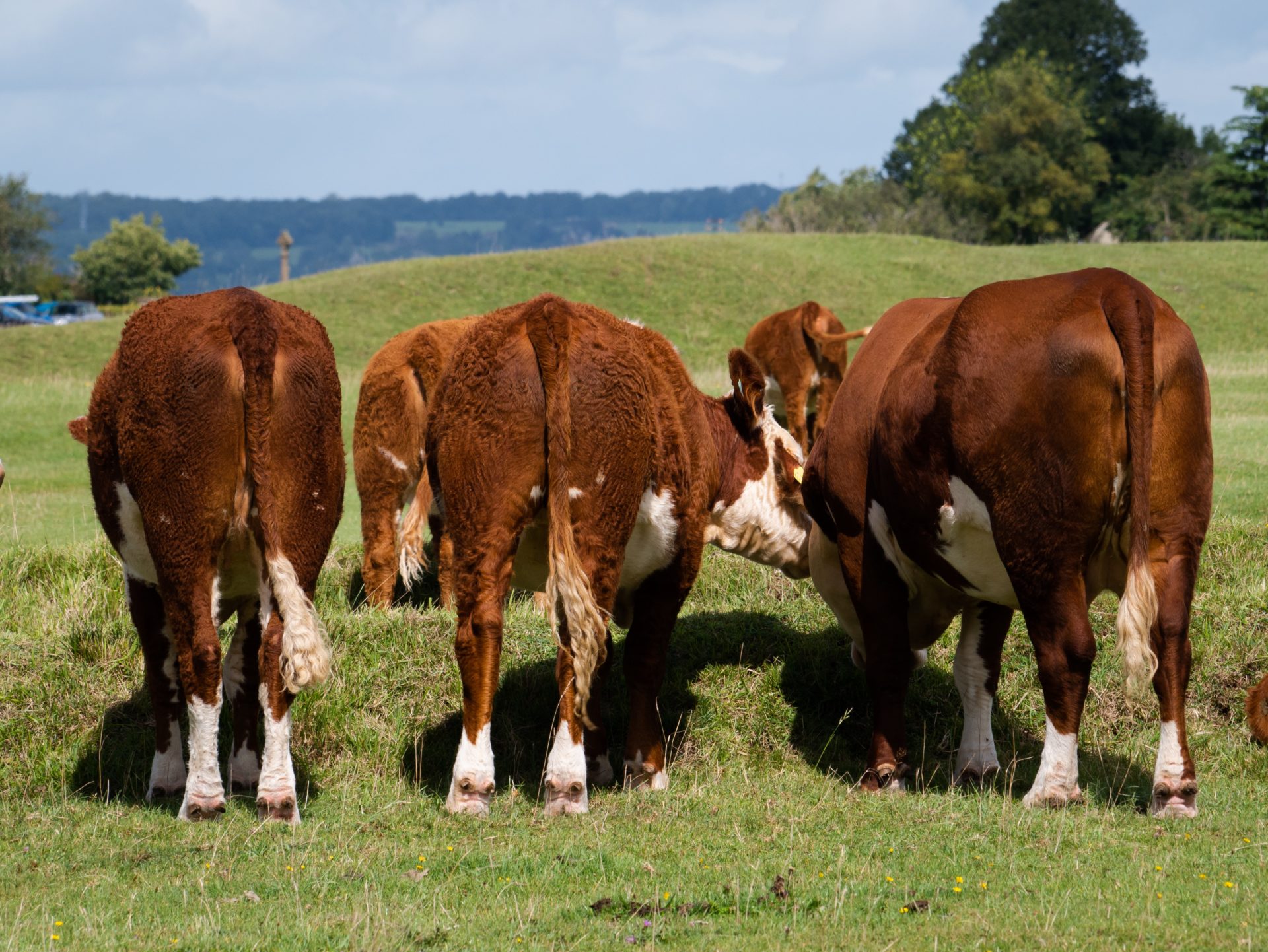 Matt Seymour on Unsplash