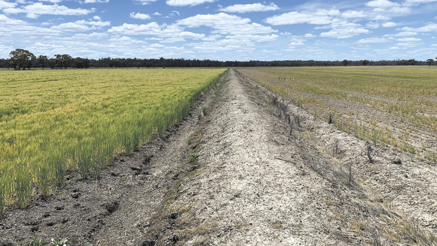 Allocation celebration