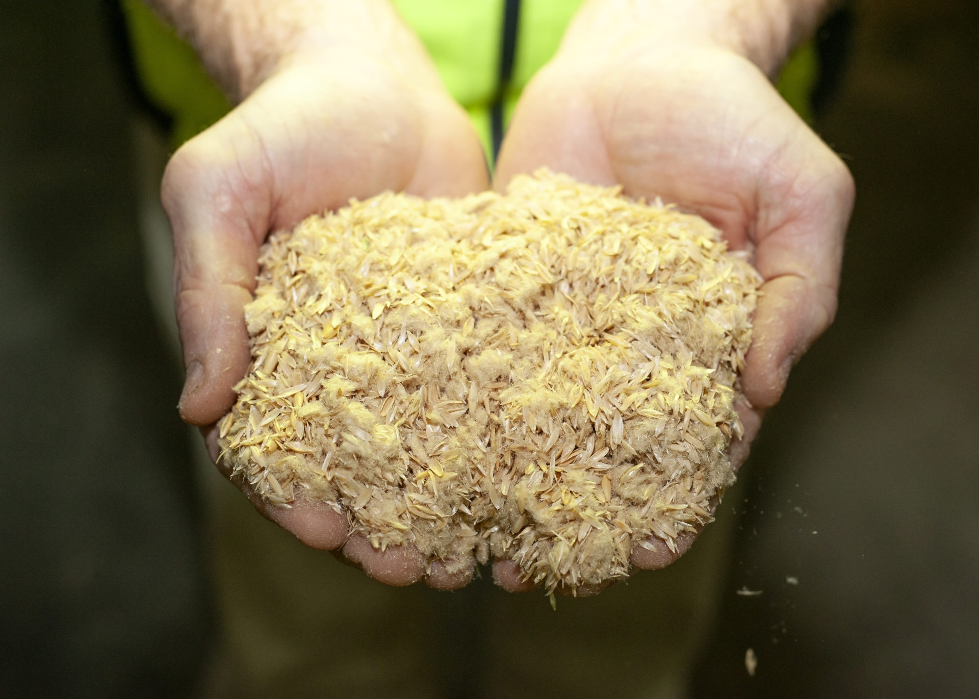 Oat husks