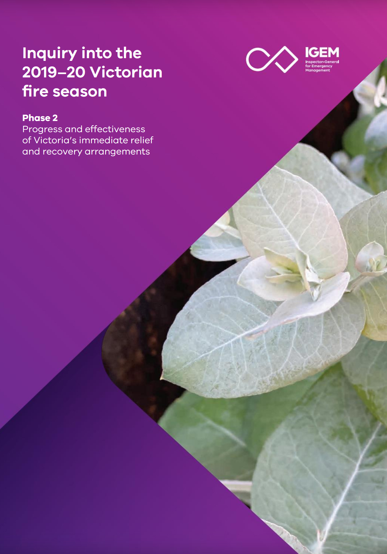 IGEM Inquiry Phase 2 cover