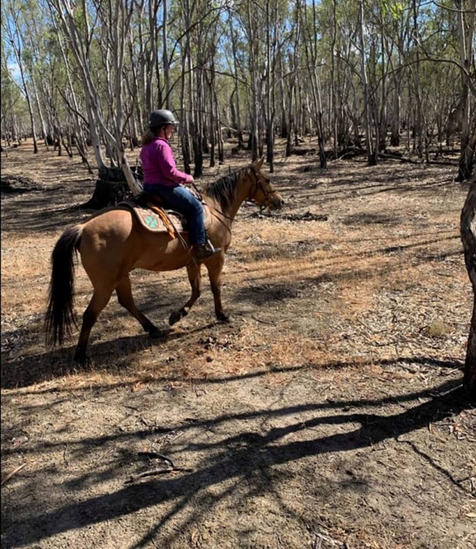 Barmah forest October 2019