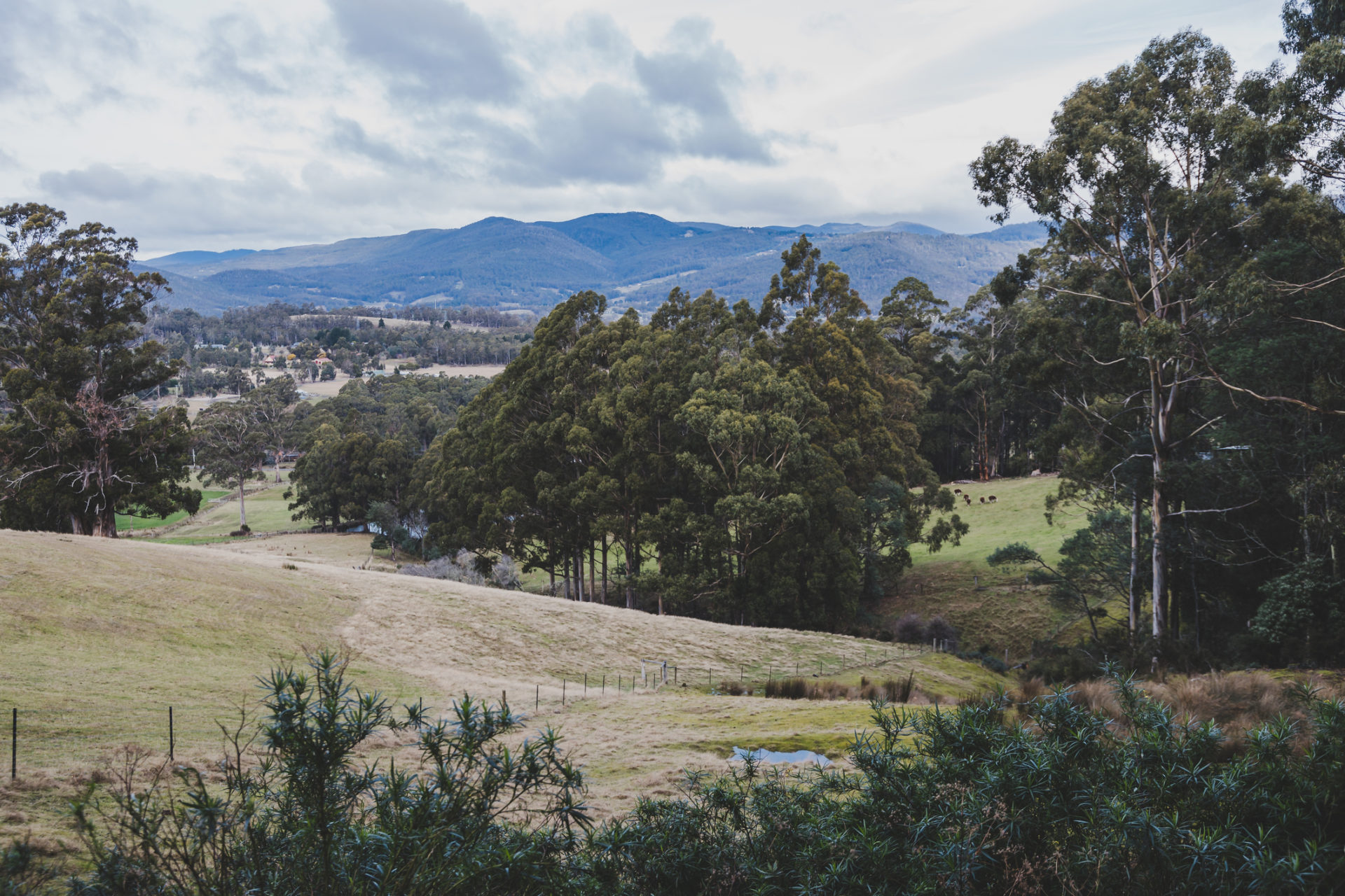 Houn Valley Tasmania
