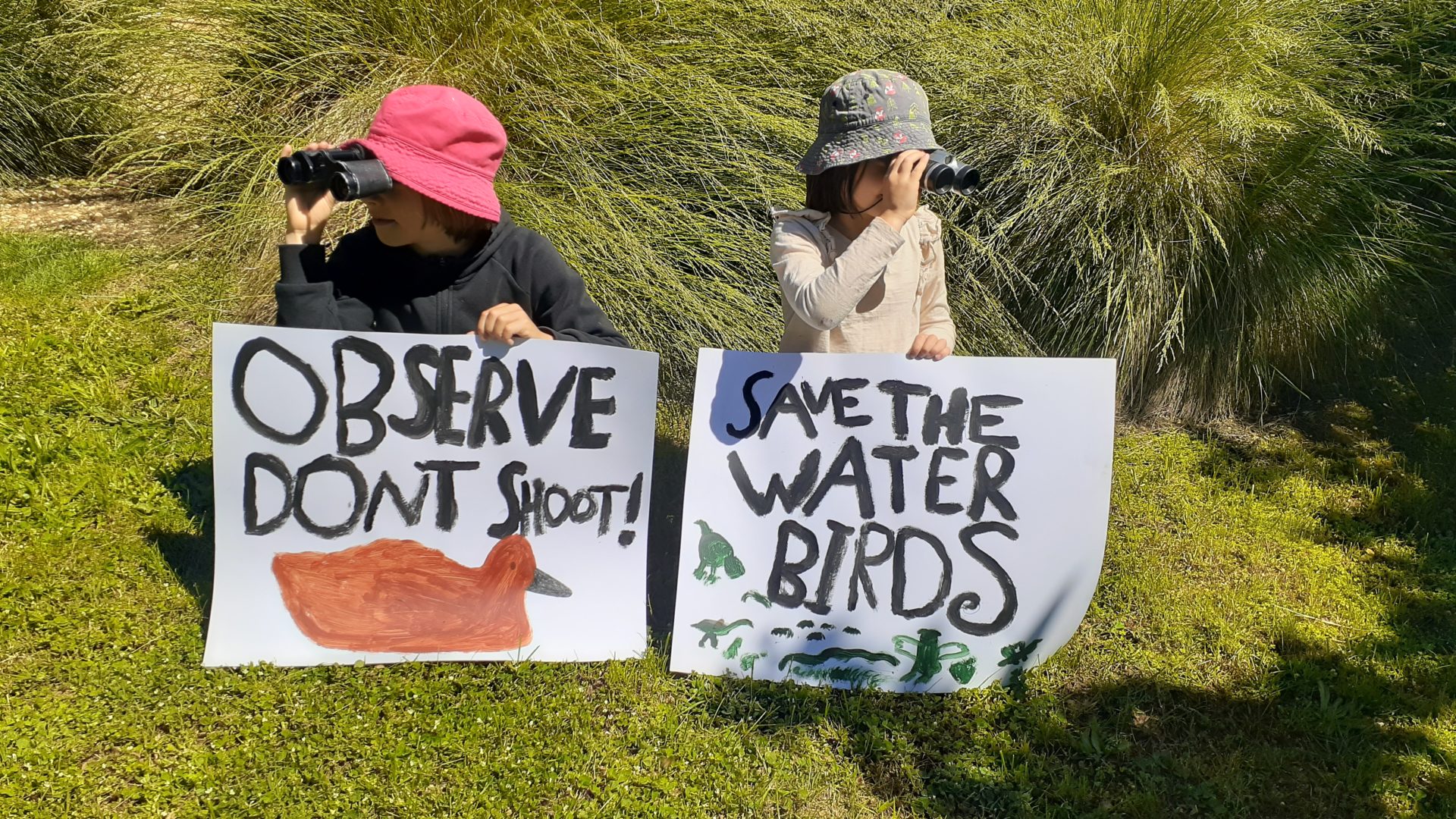 Save the birds campaigners