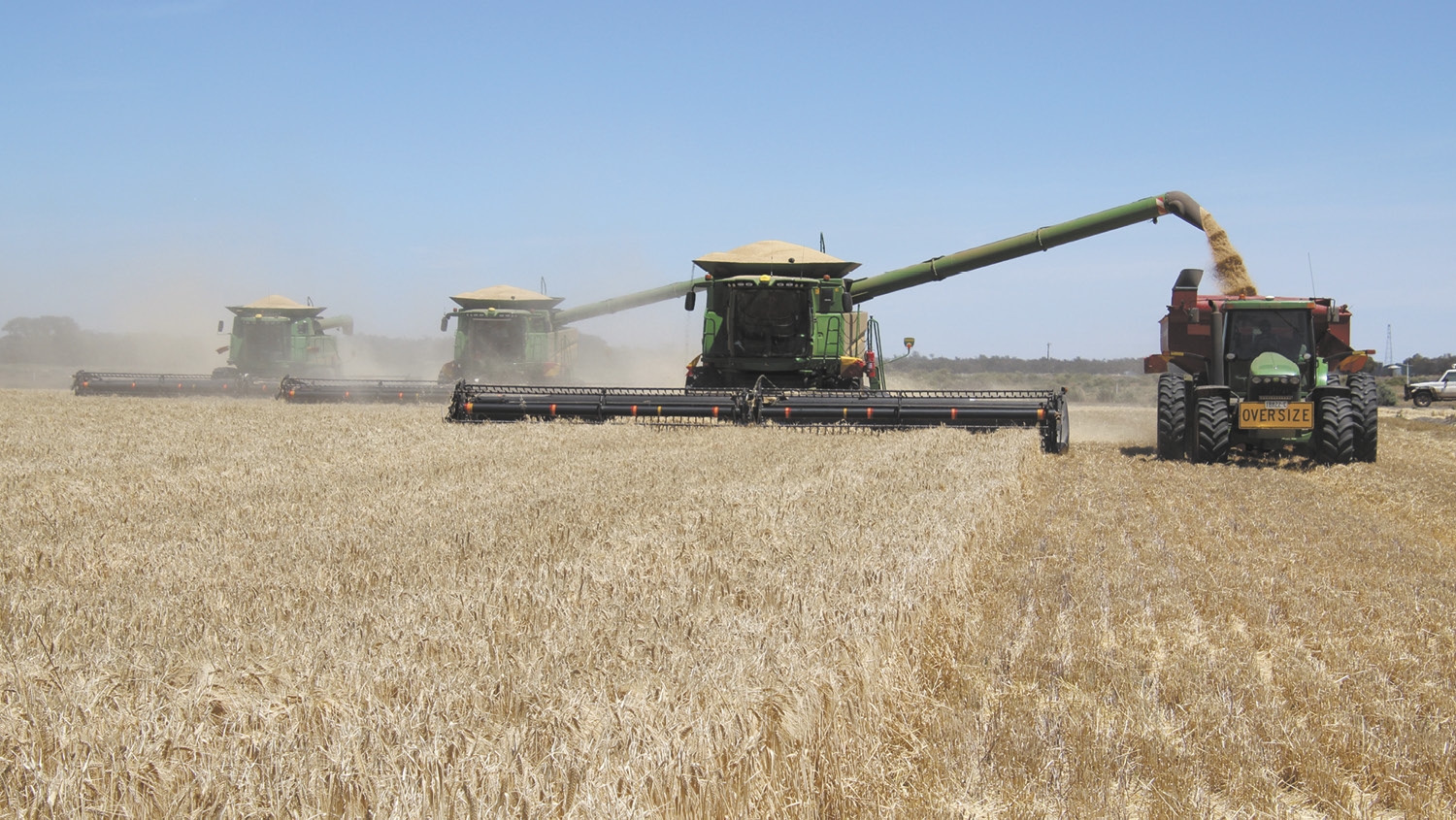 Headers. Photo by Ruth Arthur