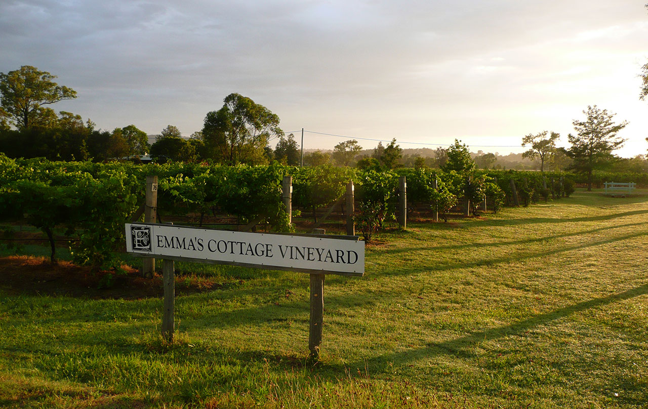 Emmas Cottage Vineyard
