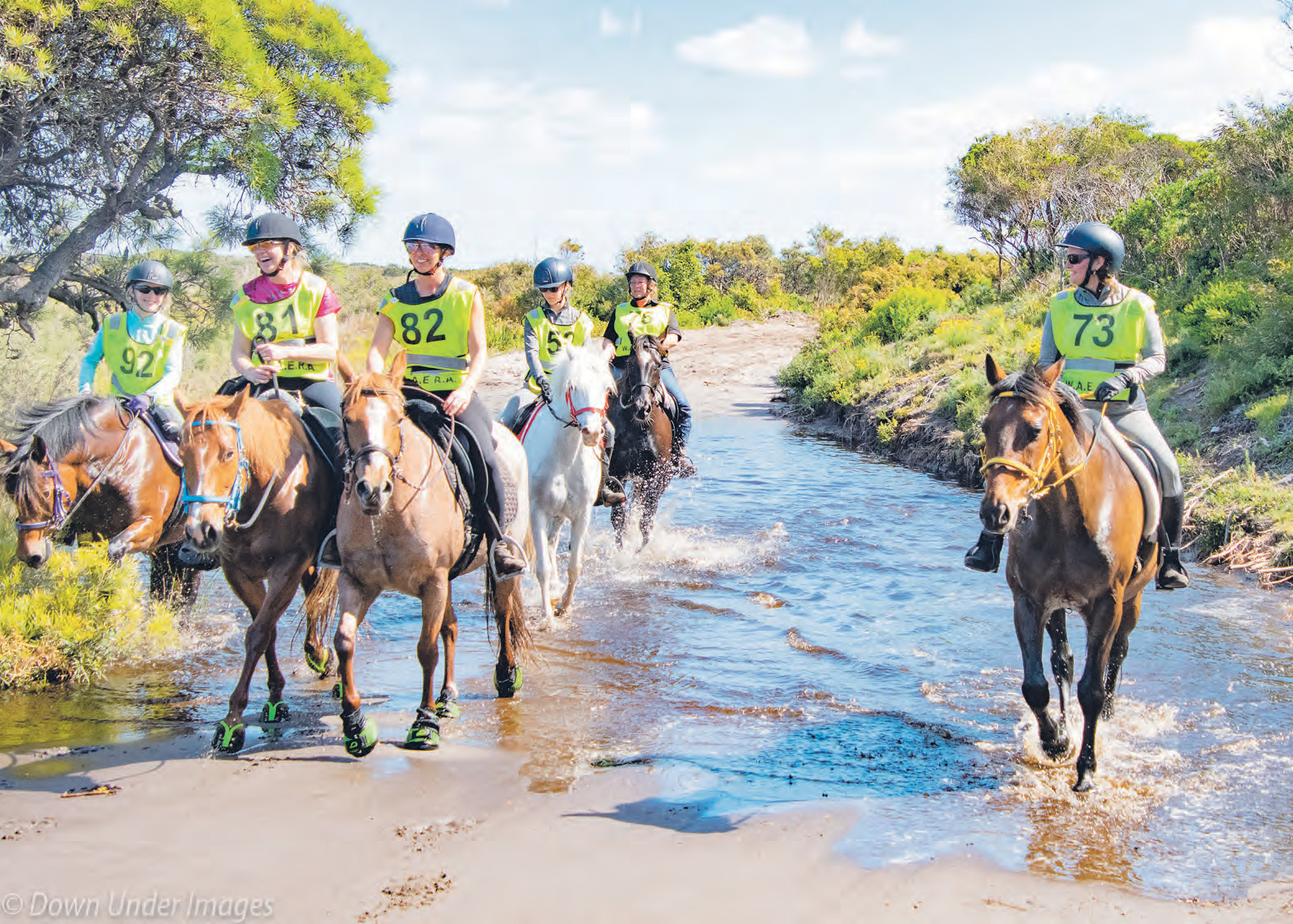 WA Endurance ride