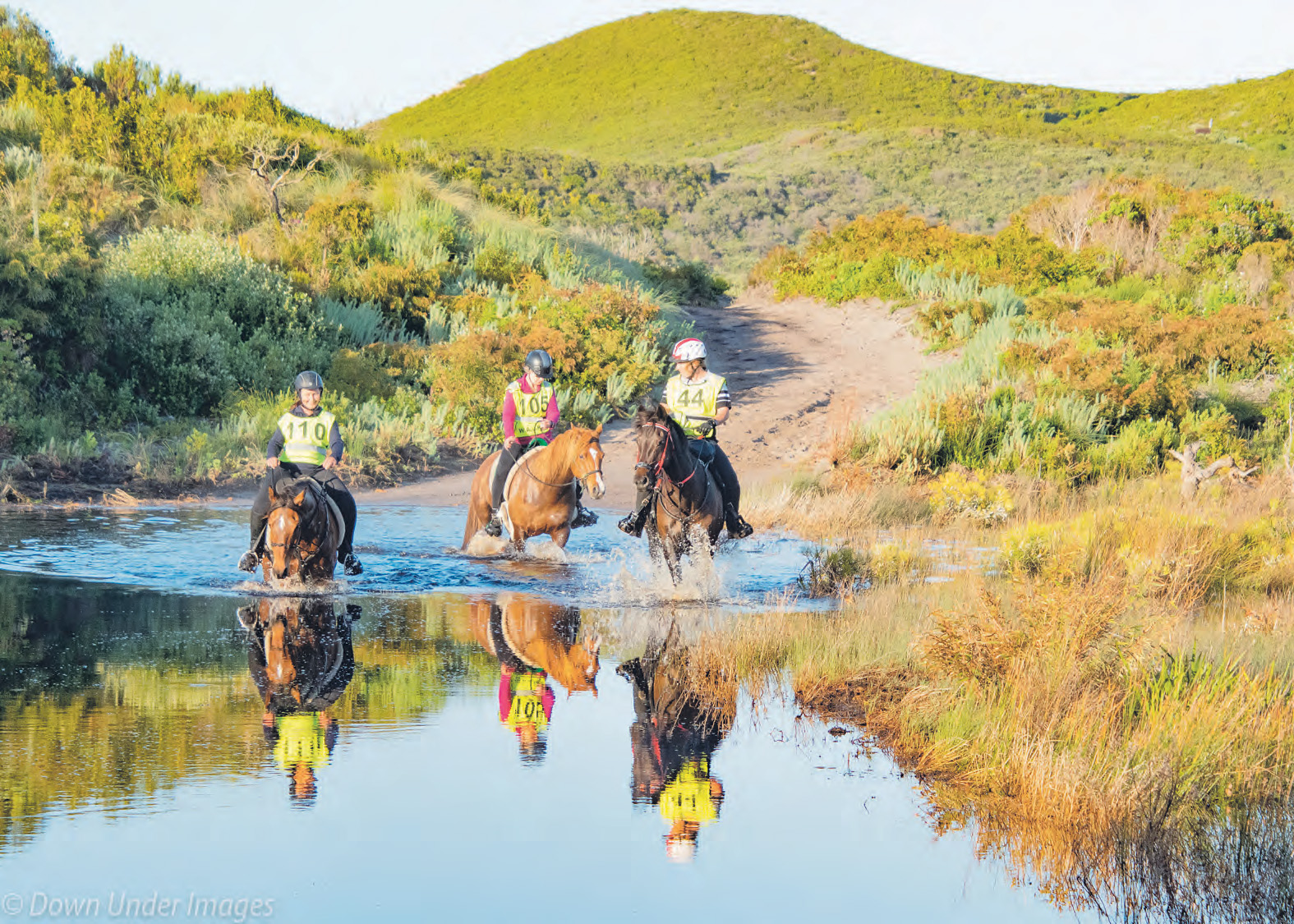 WA Endurance ride