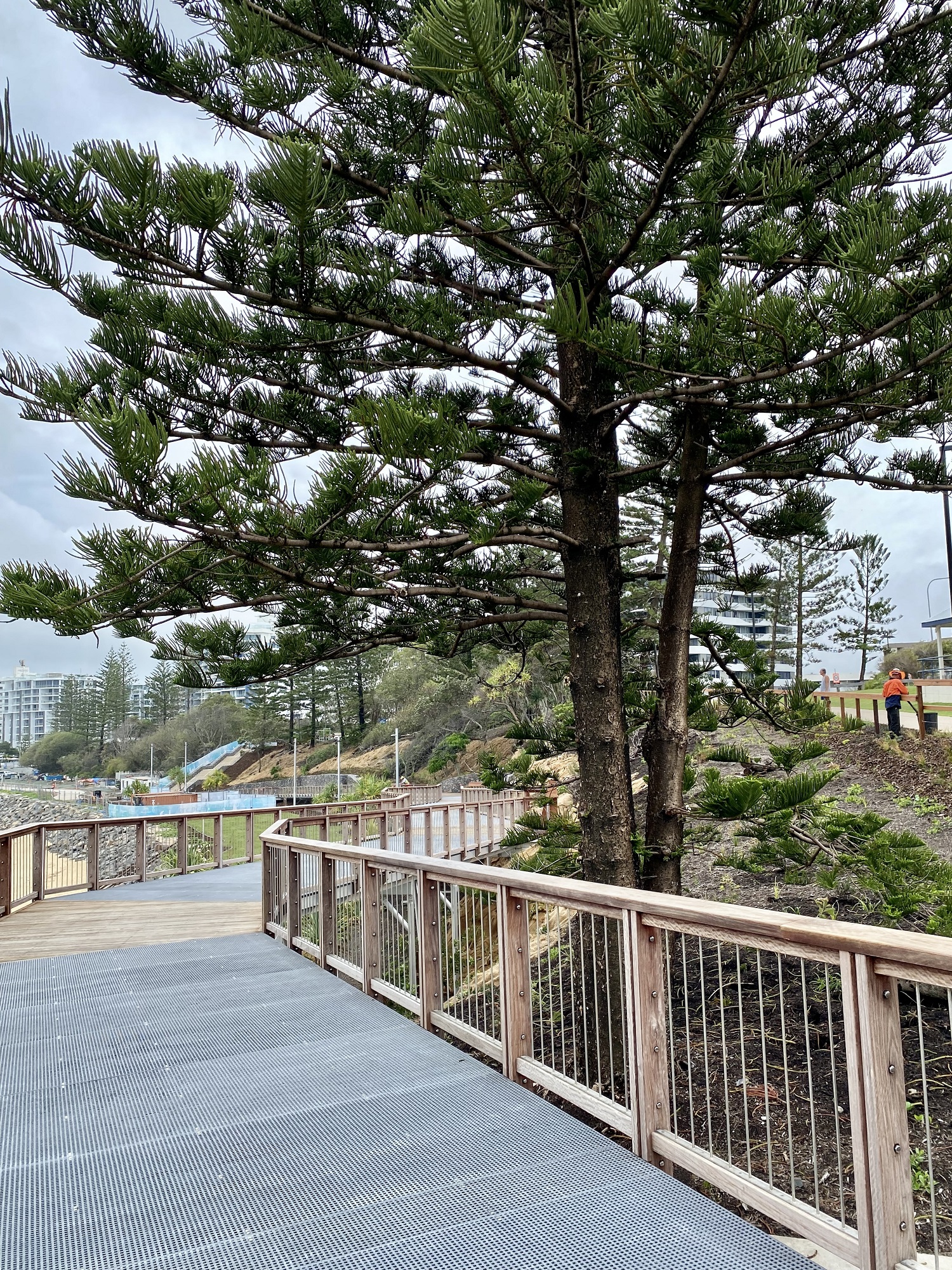 Mooloolaba parkland