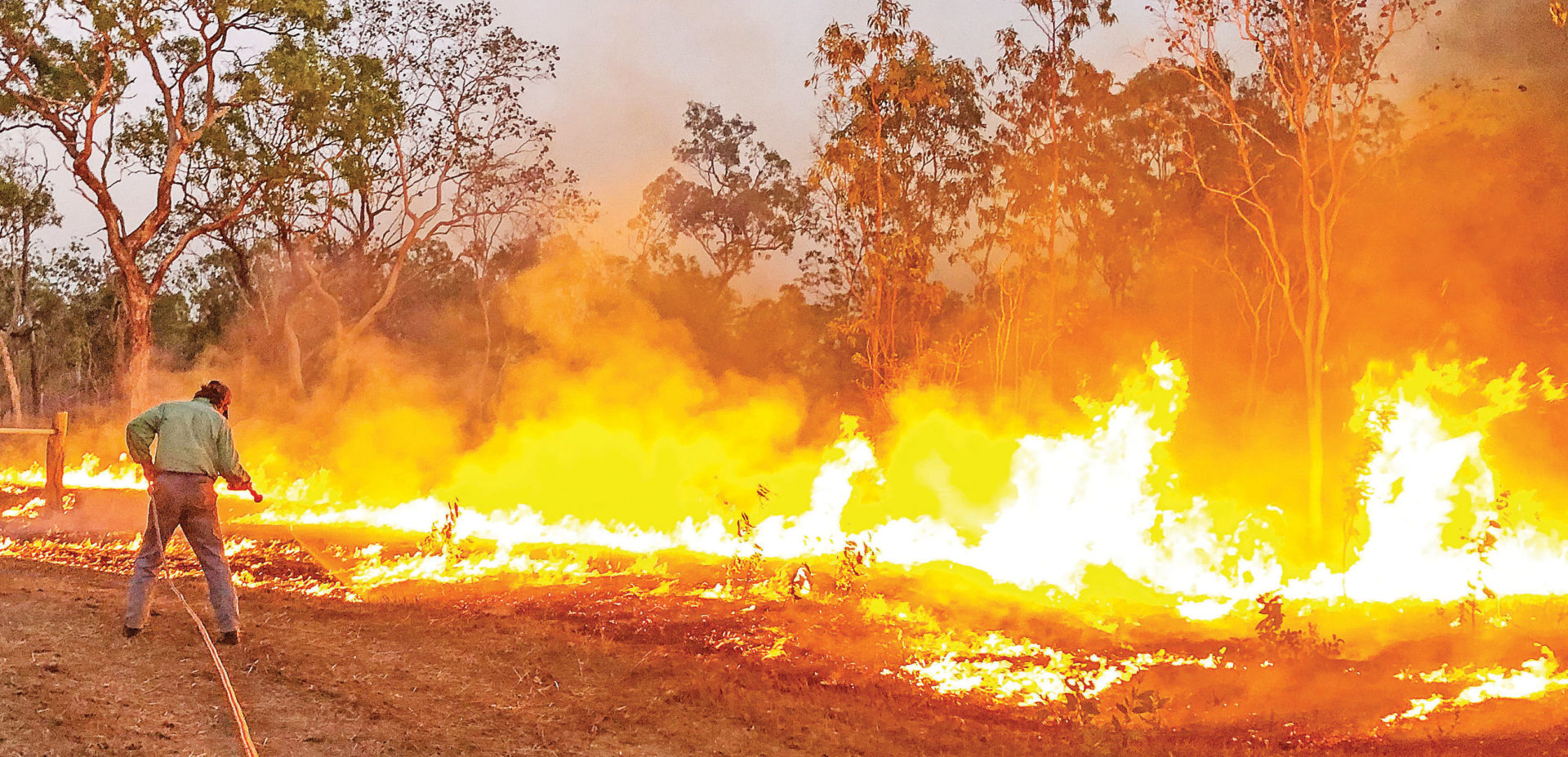 Piccaninny Plains backburning