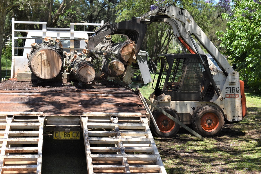 Tree being loaded
