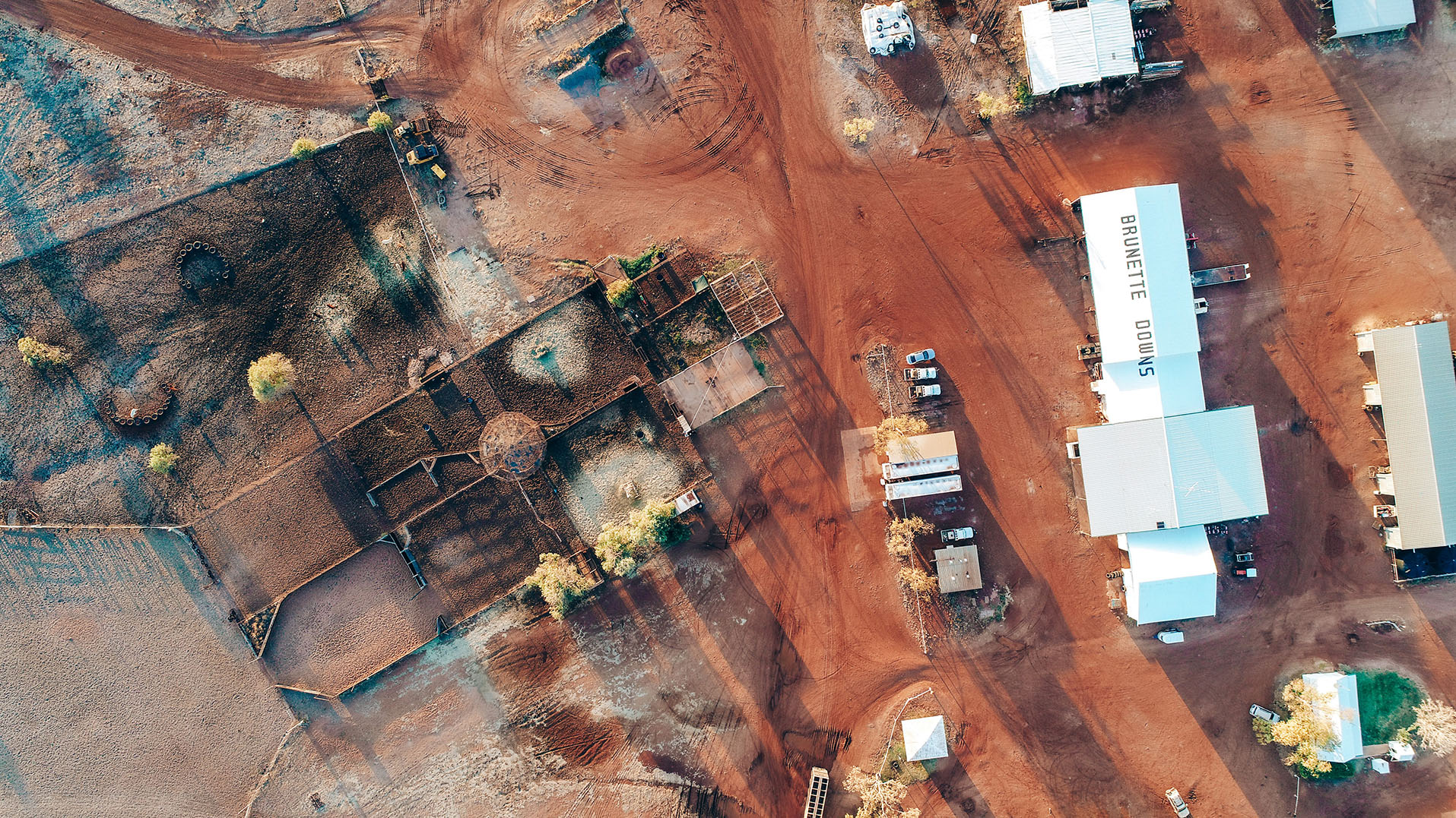 Brunette Downs by Sarah Monsalve