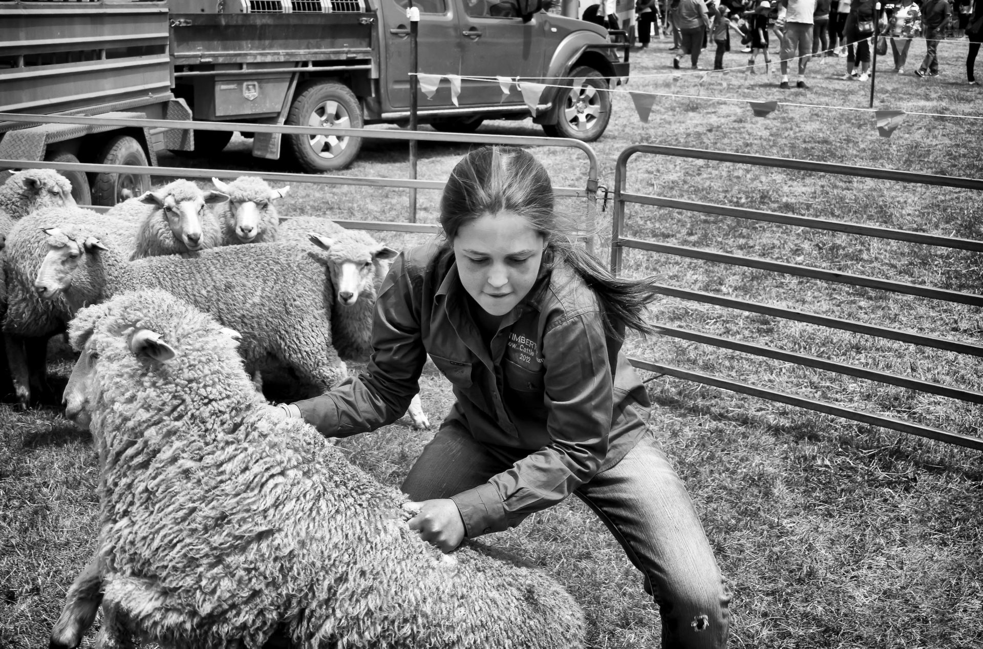 Emily wins over Woolly