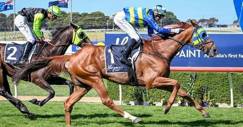 Wil John Jericho Cup Winner 2021.